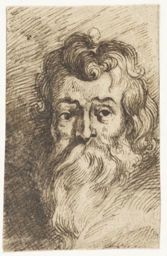 Man's head with long beard