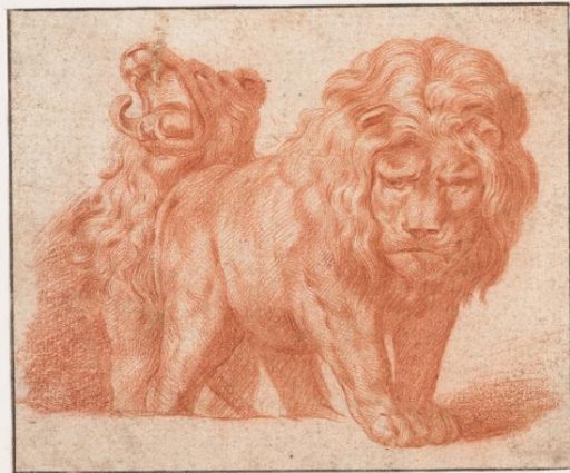 Two Lions