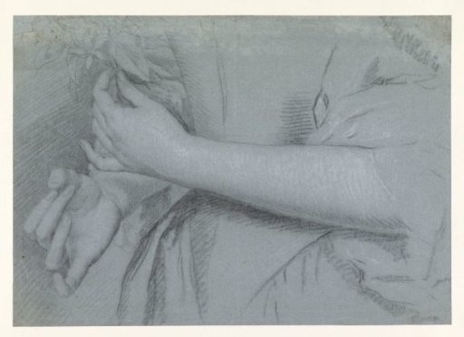 Waist of a woman, arm and hands