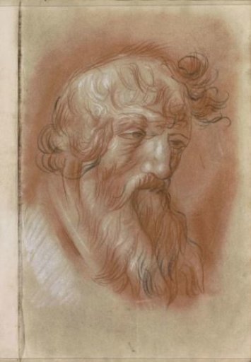 Head of an old man with a beard