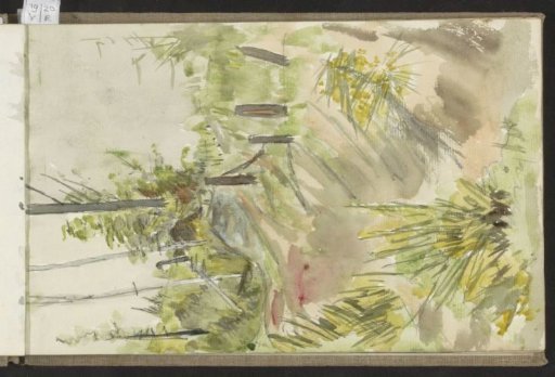 Path in a hilly landscape with trees