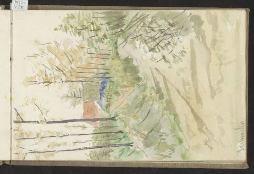 Path at Drimmelen