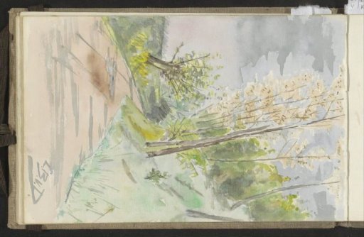 Path in a landscape