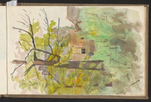 Houses among the trees