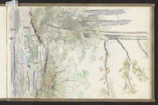 Stream in a Forest