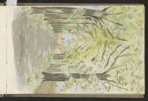 Tree-lined avenue