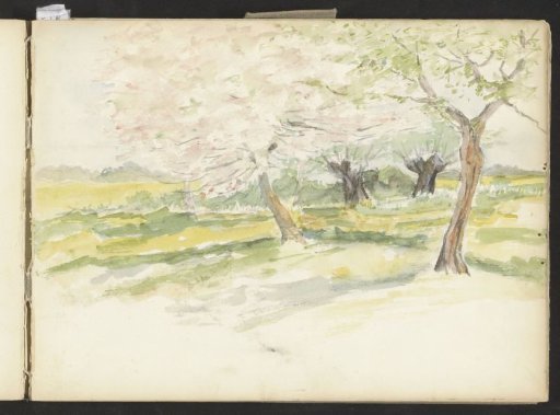 Landscape with trees