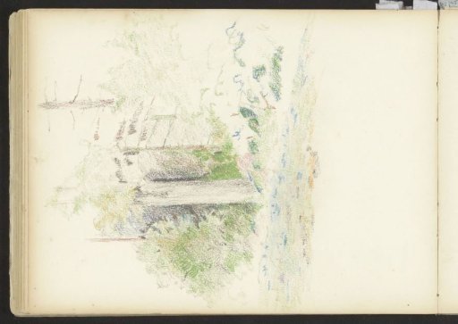 Edge of a forest