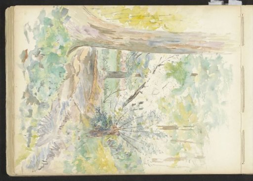 Stream in a forest