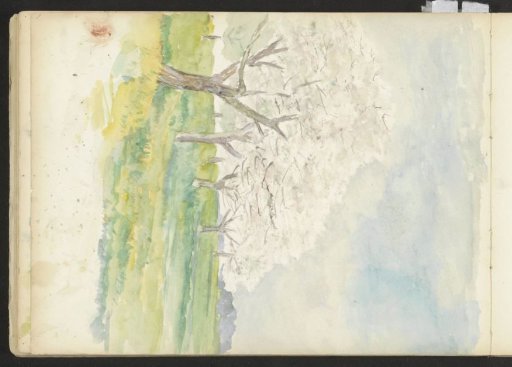 Landscape with Trees in Blossom