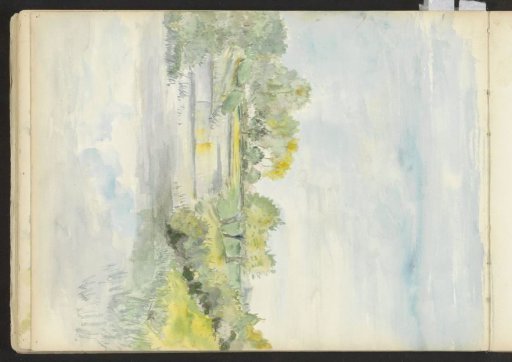 Trees and shrubs along a waterside