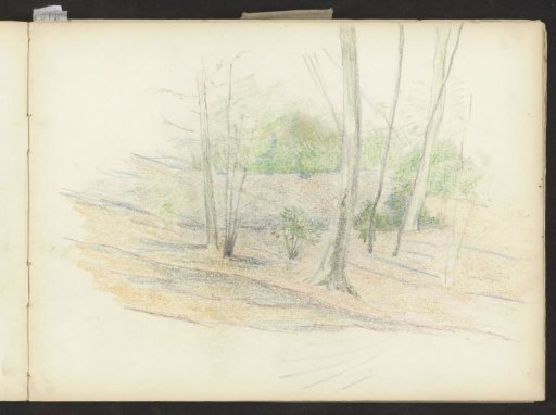 Landscape with trees