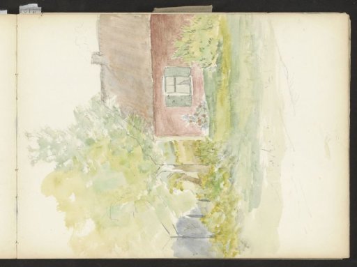 House at the edge of a forest