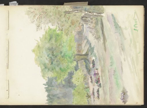 Path at the edge of a forest