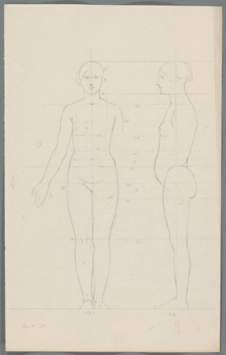 Proportion study of a woman