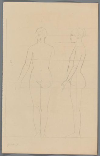 Proportion study of a woman
