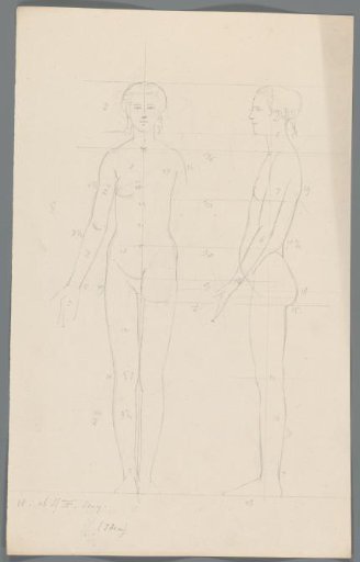 Proportion study of a woman
