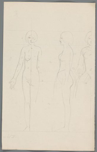 Proportion study of a woman