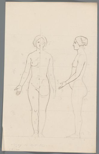 Proportion study of a woman