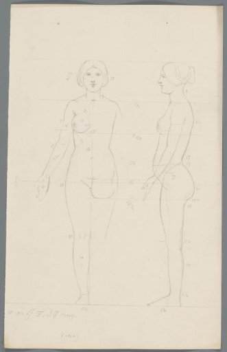 Proportion study of a woman