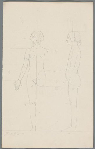 Proportion study of a woman