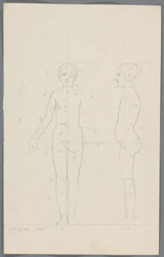 Proportion study of a young woman