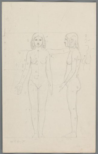 Proportion study of a young woman