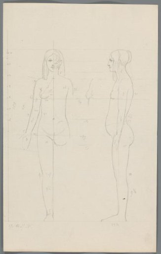 Proportion study of a woman