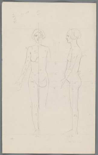 Proportion study of a woman