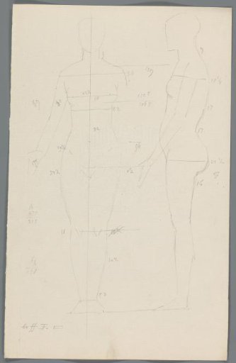Proportion study of a woman