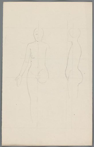 Proportion study of a woman