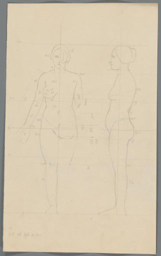 Proportion study of a woman
