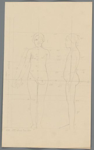 Proportion study of a woman