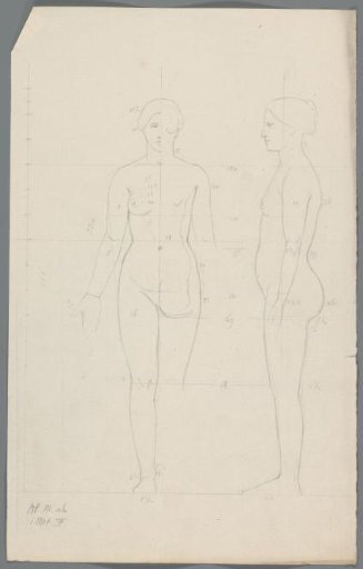 Proportion study of a woman