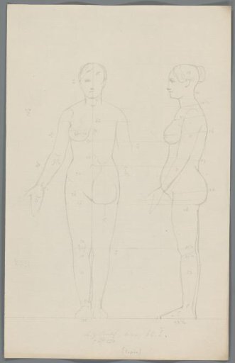 Proportion study of a woman