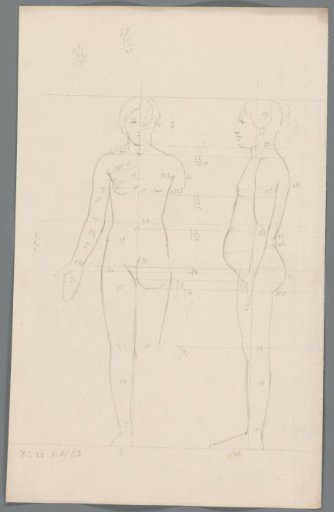 Proportion study of a woman