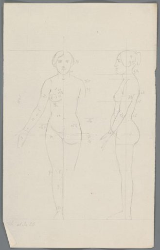 Proportion study of a woman