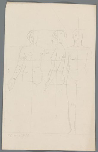 Proportion study of a woman