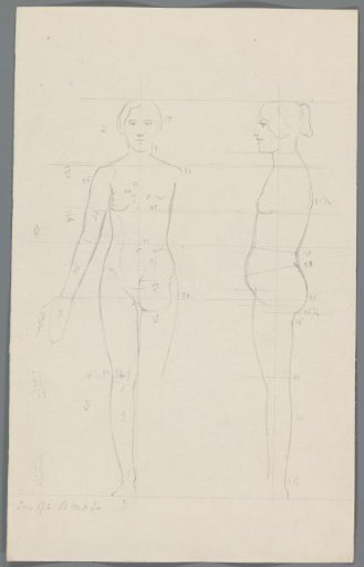 Proportion study of a woman