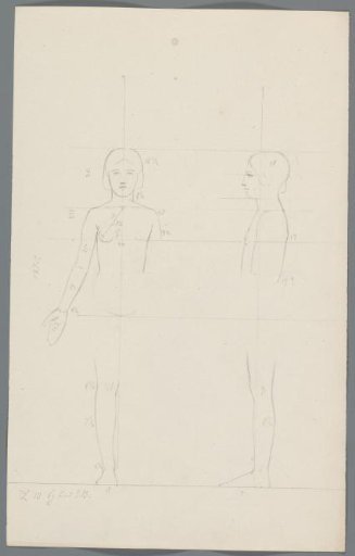 Proportion study of a young woman