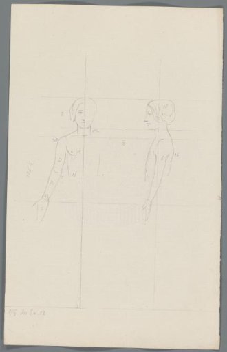 Proportion study of the upper body of a girl