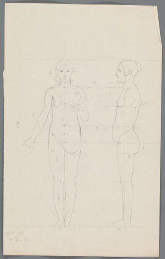 Proportion study of a woman