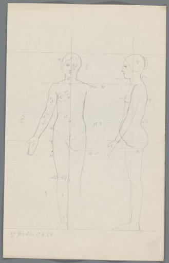Proportion study of a woman