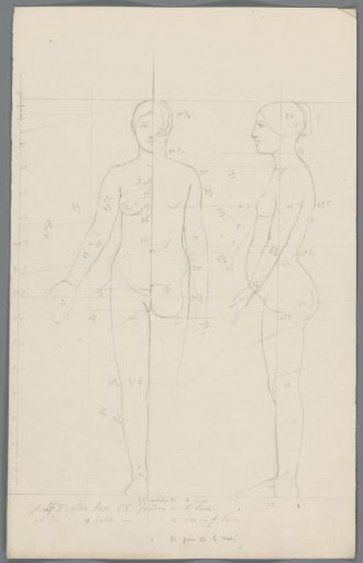 Proportion study of a woman