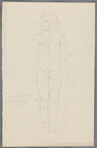 Proportion study of a girl