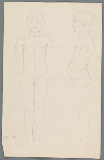 Proportion study of a girl