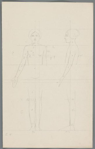Proportion study of a woman