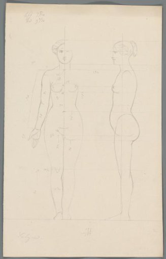 Proportion study of a woman