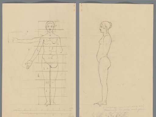 Proportion study of a woman