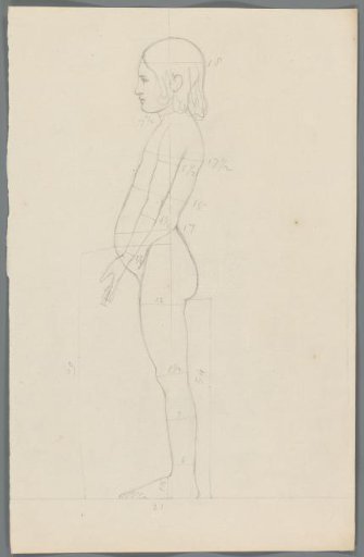 Proportion study of a girl